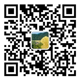 五彩堂app